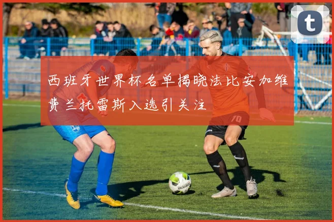 西班牙世界杯名单揭晓法比安加维费兰托雷斯入选引关注