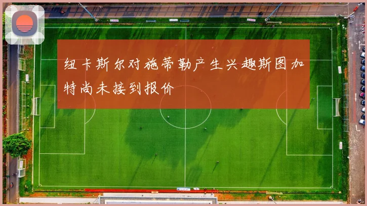 纽卡斯尔对施蒂勒产生兴趣斯图加特尚未接到报价